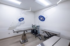 Baytown-Animal-Shelter-16