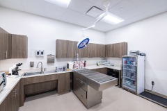 Baytown-Animal-Shelter-17