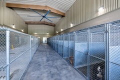 Baytown-Animal-Shelter-19