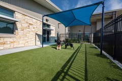 Baytown-Animal-Shelter-3