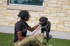 Baytown-Animal-Shelter-4