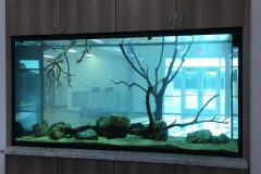 IMG_3786-e1546963857895